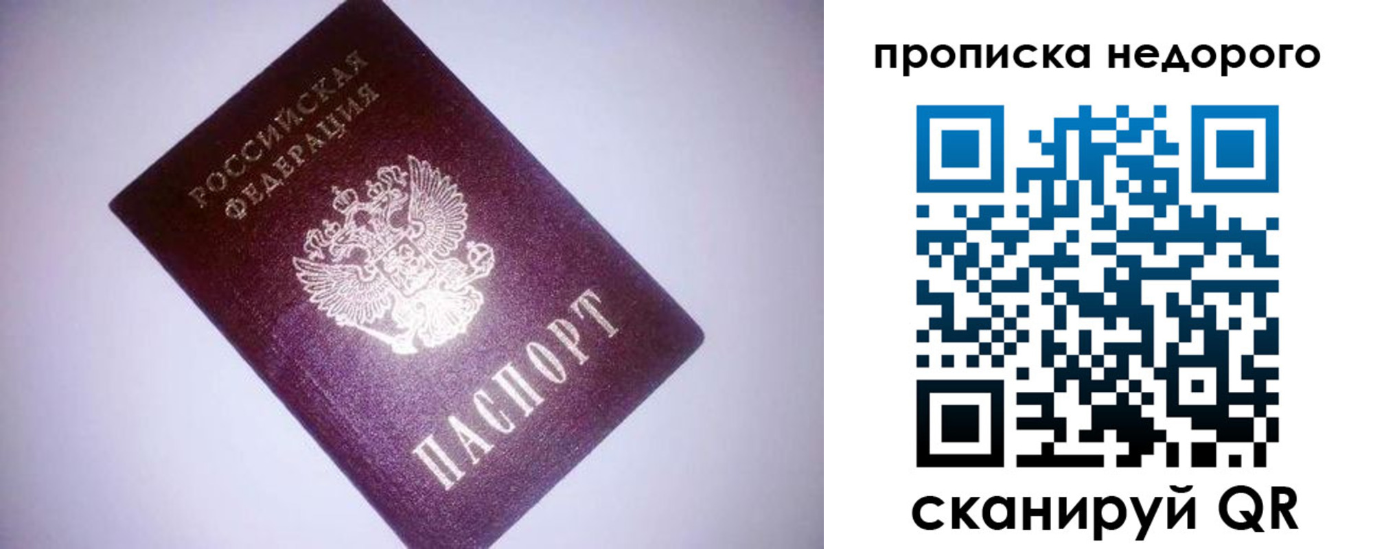 прописка для школы в Волосово